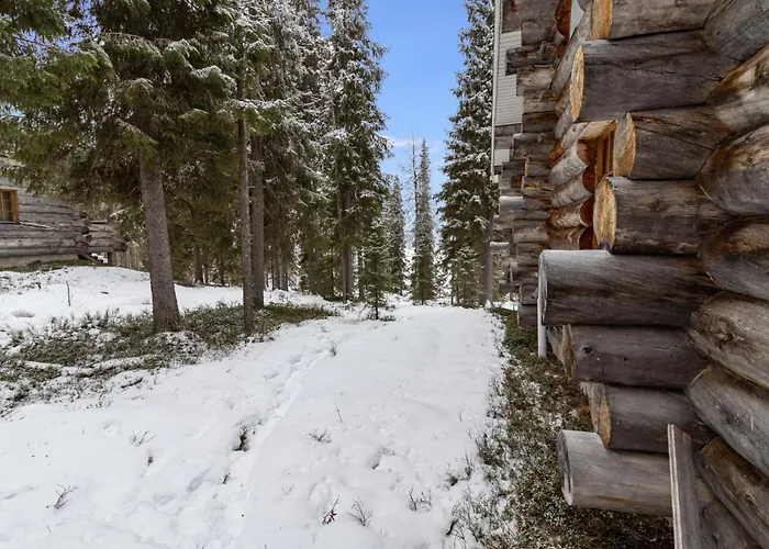 Aurinko-ruka C6 By Interhome Рука